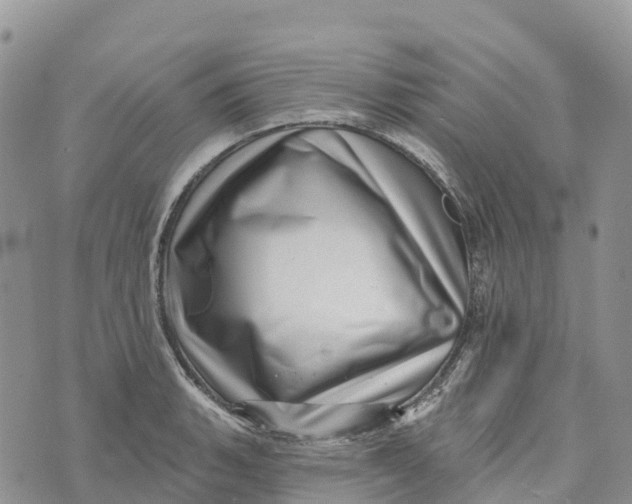 X0000072941135200608111554