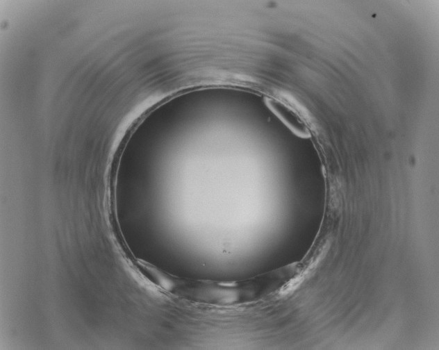 X0000072941136200608111554