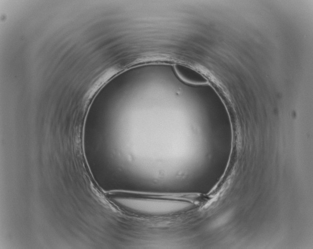 X0000072941137200608111554