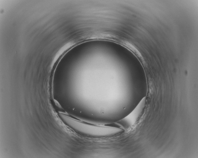 X0000072941138200608111554