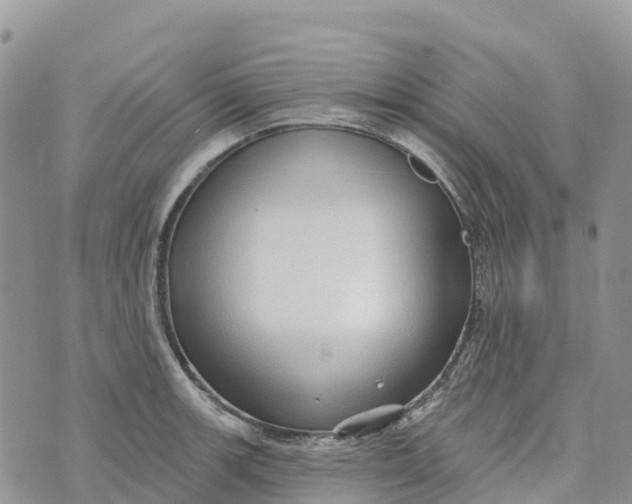 X0000072941139200608111554