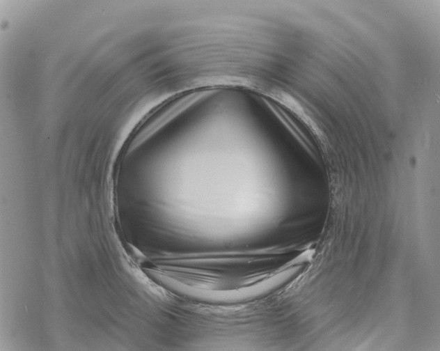 X0000072941140200608111554