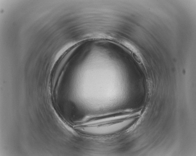 X0000072941141200608111554