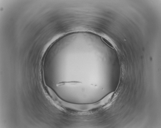 X0000072941142200608111554