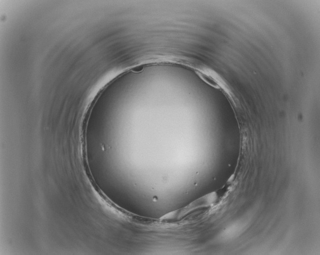 X0000072941143200608111554