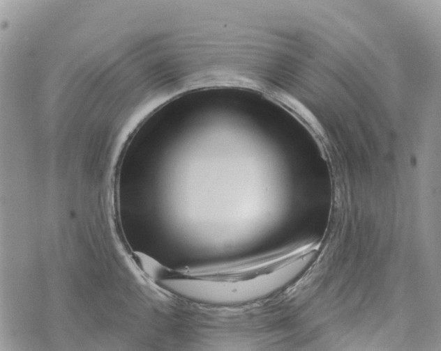 X0000072941144200608111554