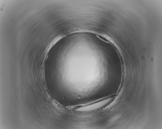 X0000072941145200608111554