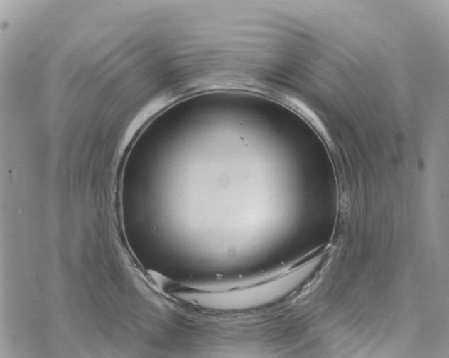 X0000072941146200608111554