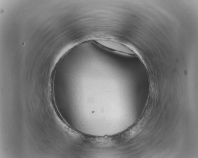 X0000072941147200608111554