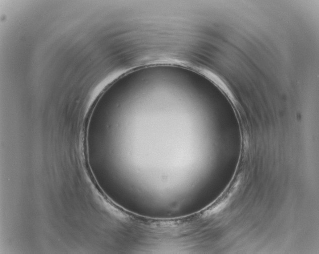 X0000072941149200608111554