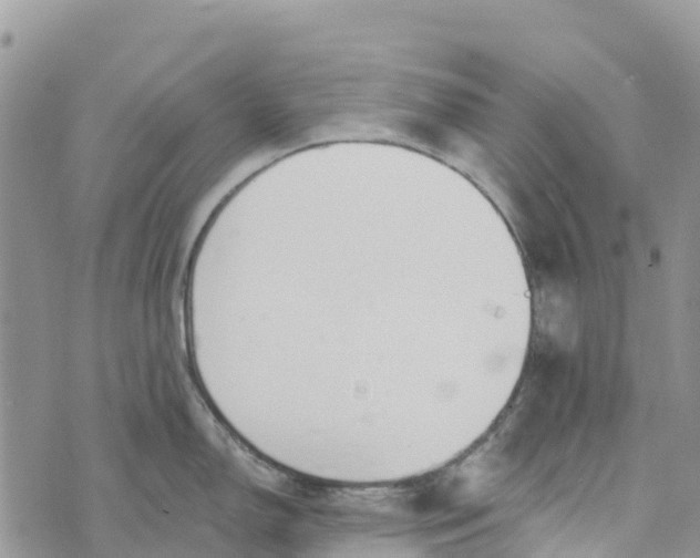 X0000072941150200608111554