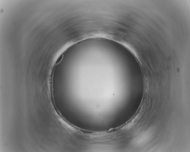 X0000072941151200608111554