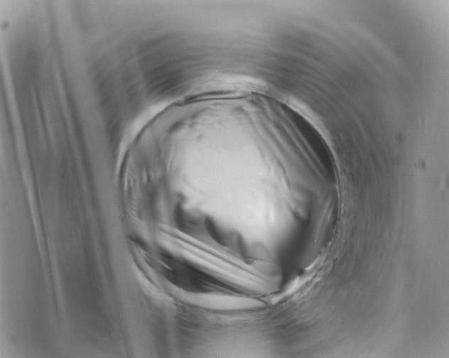 X0000072941152200608111554