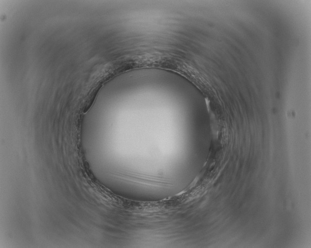 X0000072941153200608111553