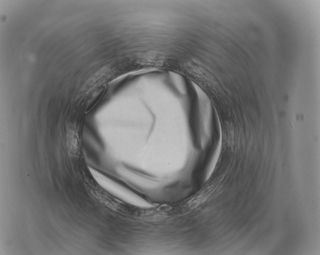 X0000072941154200608111553