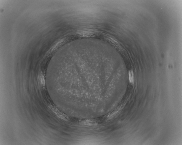 X0000072941155200608111553