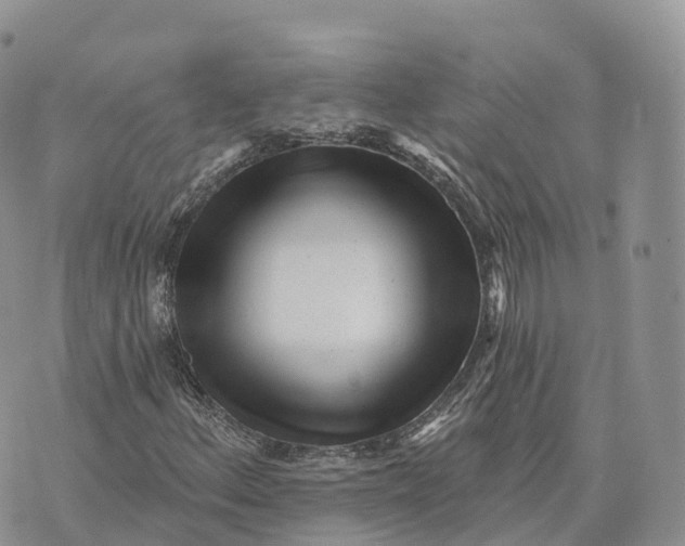 X0000072941156200608111553