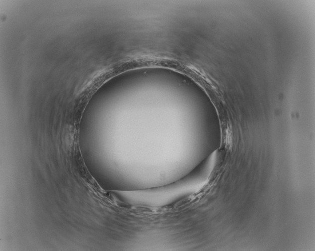 X0000072941157200608111553