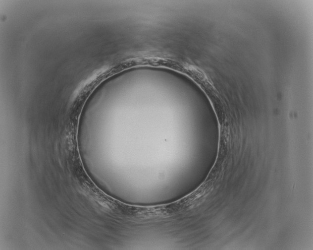 X0000072941159200608111553