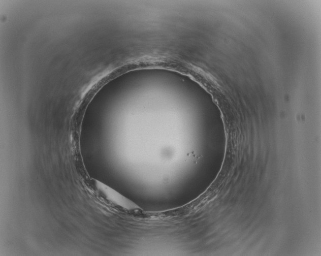 X0000072941160200608111553