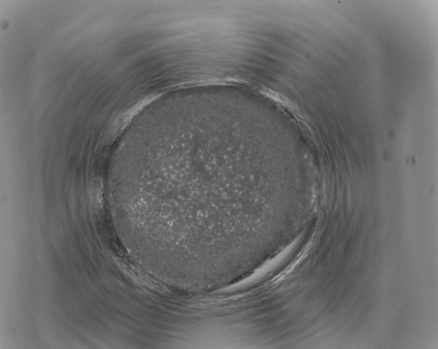 X0000072941161200608111553