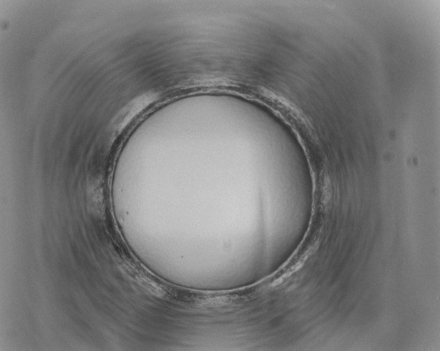 X0000072941162200608111553