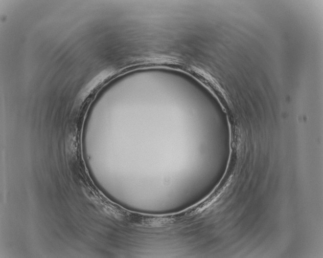 X0000072941163200608111553