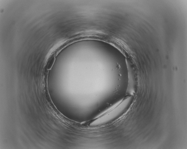 X0000072941164200608111553