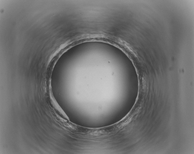 X0000072941165200608111553