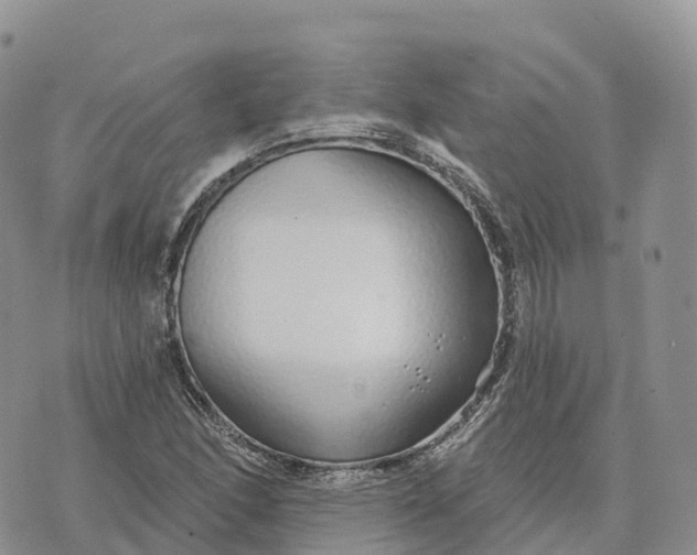 X0000072941166200608111553