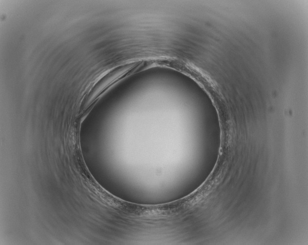 X0000072941169200608111553