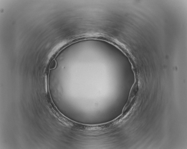 X0000072941171200608111553