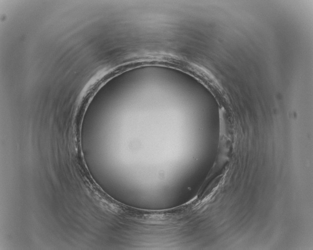 X0000072941172200608111553