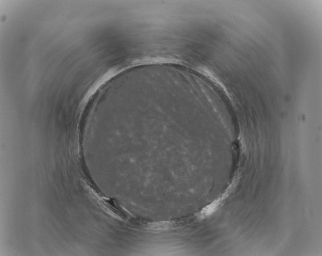 X0000072941173200608111553