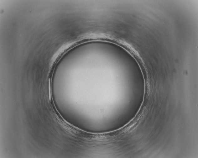 X0000072941175200608111553