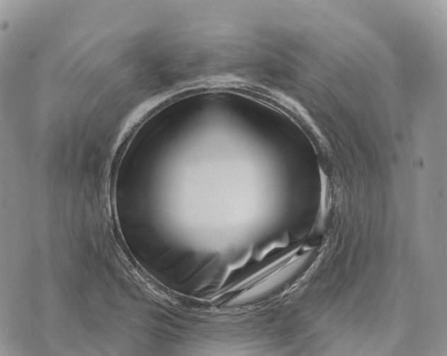 X0000072941176200608111553