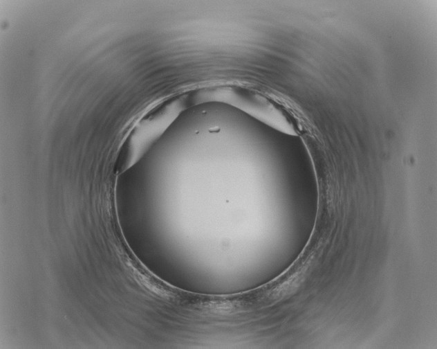 X0000072941177200608111553