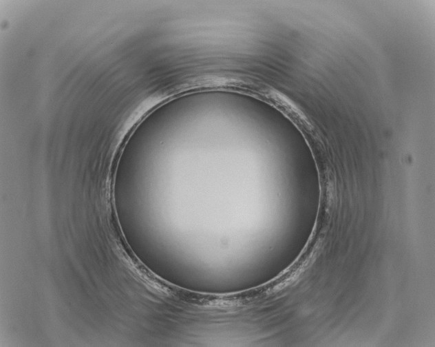 X0000072941178200608111553