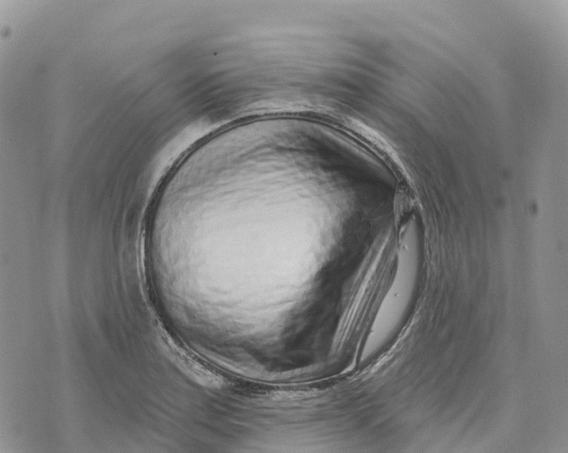 X0000072941179200608111553