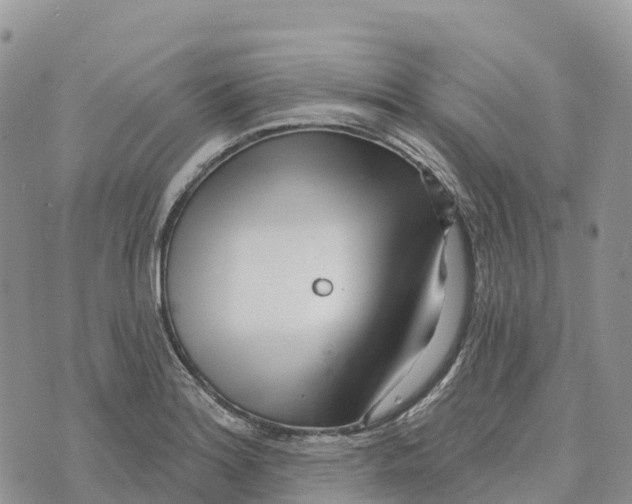 X0000072941180200608111553