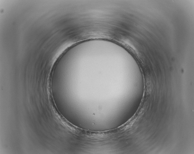 X0000072941182200608111553