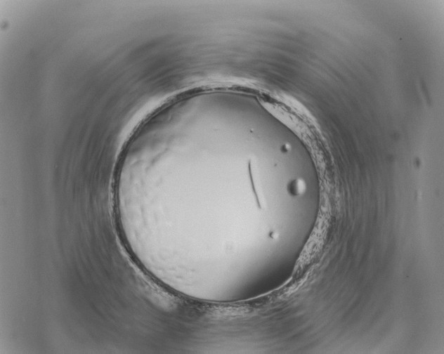 X0000072941183200608111553