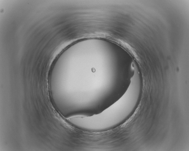 X0000072941184200608111553