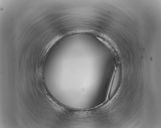 X0000072941185200608111553