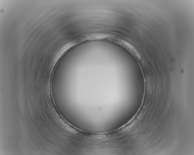 X0000072941186200608111553