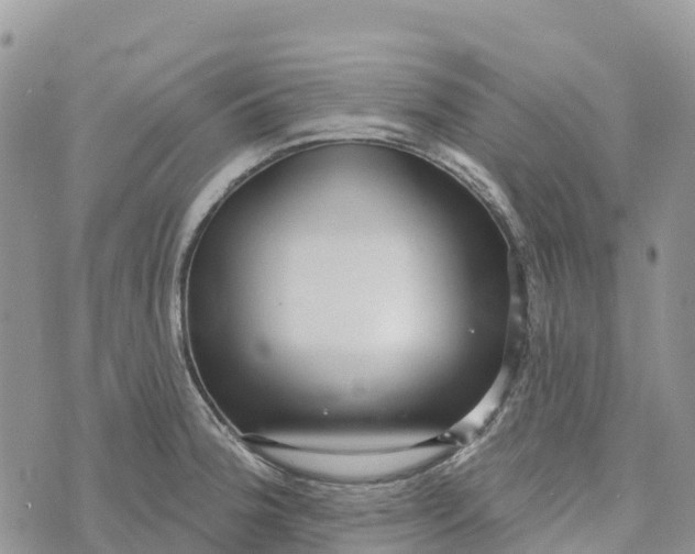 X0000072941188200608111553