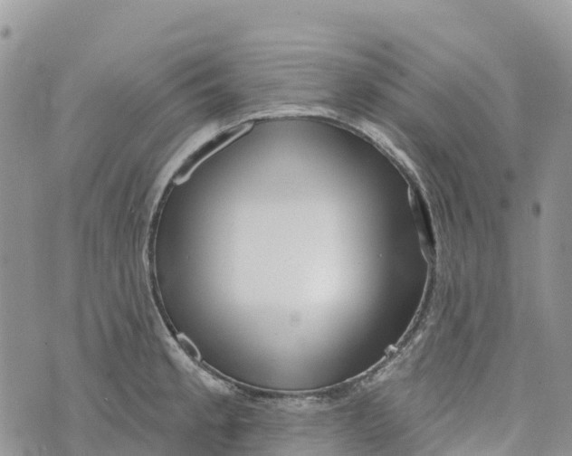 X0000072941189200608111553