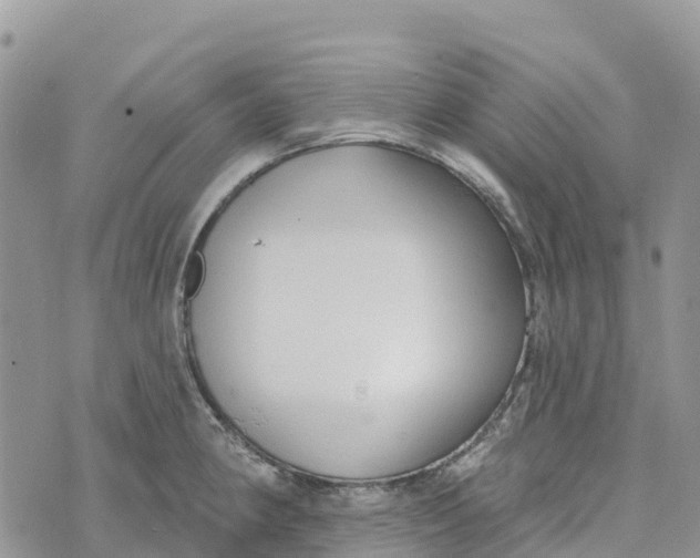 X0000072941190200608111553