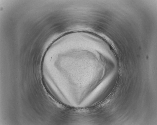 X0000072941191200608111553