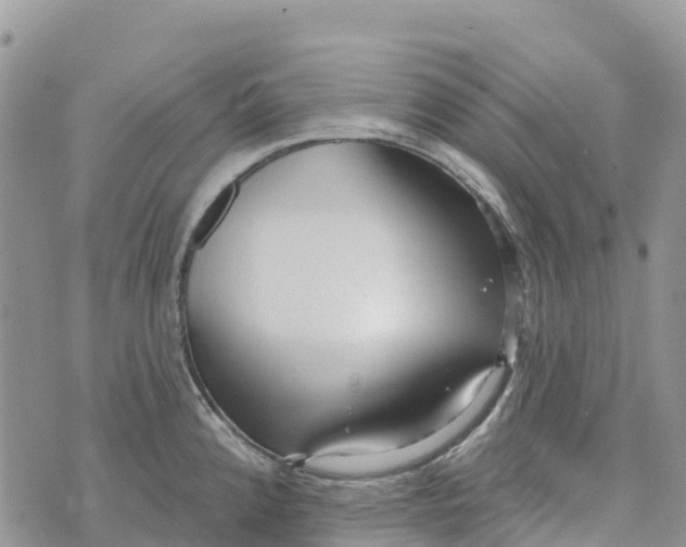 X0000072941192200608111553